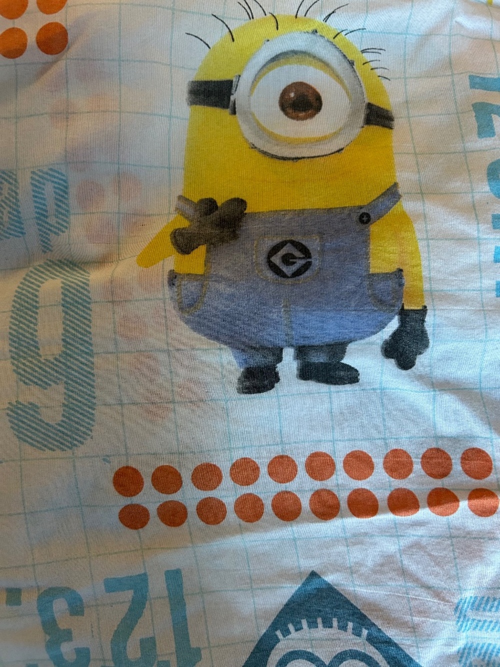 Minions "Testing 1234" Twin Fitted Sheet - Despicable Me